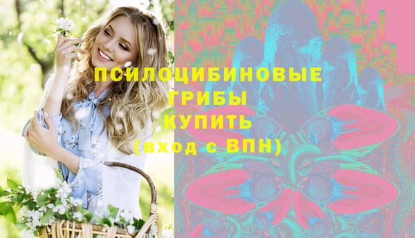 а пвп мука Алзамай